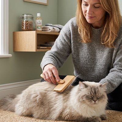 Brosse chat poil long