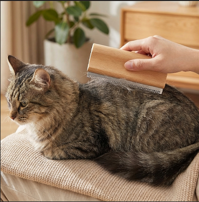 Brosse pour chat en bois chat se fait brosser le dos 