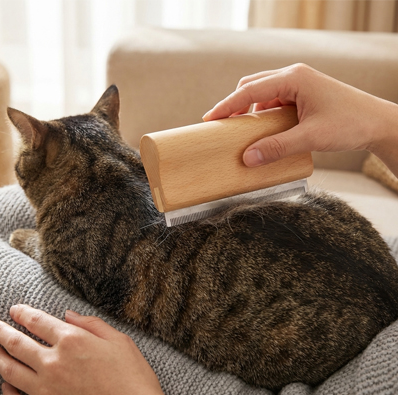 Brosse pour chat en bois chat se fait brosser le dos