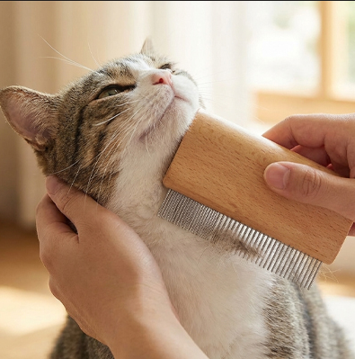 Brosse pour chat en bois chat se fait brosser 