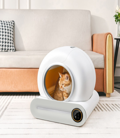 litière autonettoyante dans le salon avec chat roux dedans 