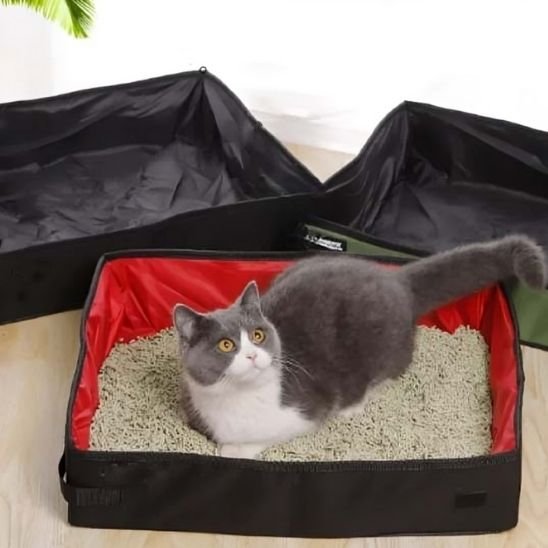 Bac à litière chat