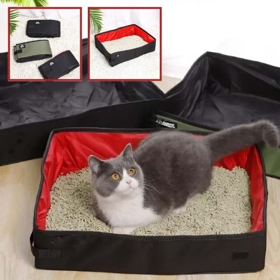Bac à litière chat