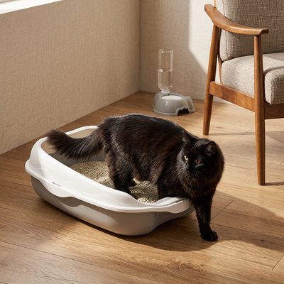 Bac à litière Chat avec chat noir 
