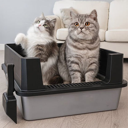 Bac à litière Chat avec deux chats dedans