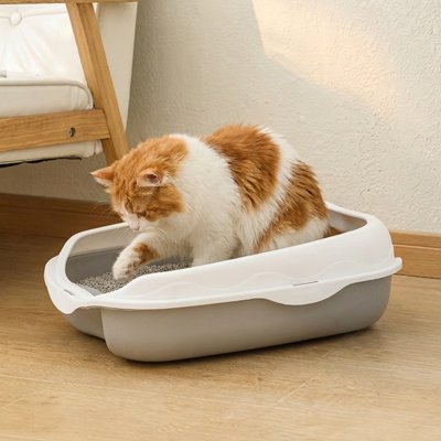Bac à litière Chat chat qui sent le bac 
