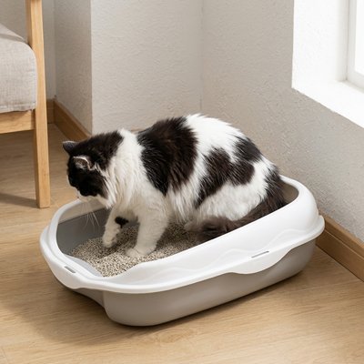 Bac à litière Chat qui fait ses besoins 