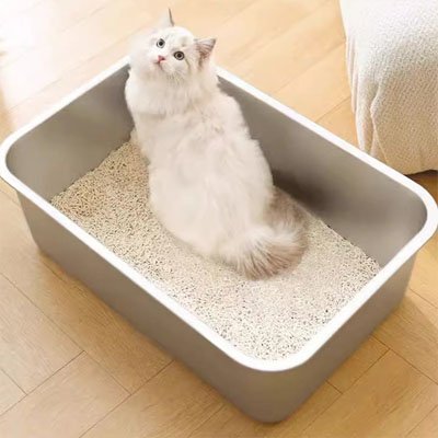 Bac litière Chat