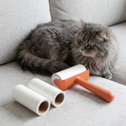 Brosse anti poil à côté d'un chat gris 