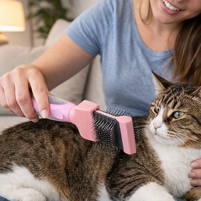 Brosse pour Chat 