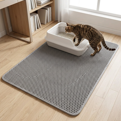 tapis litière chat chat tigré entrant dans sa litière, tapis gris dans un bureau
