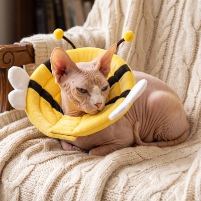 Collerette Chat abeille chat qui dort 