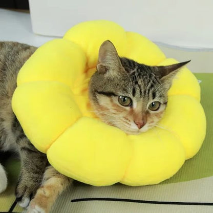 Collerette chat fleur jaune chat allongé sur le canapé 