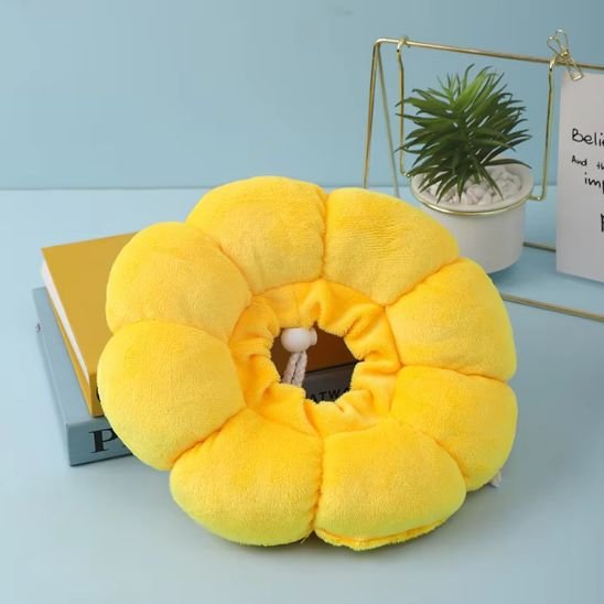 Collerette chat fleur jaune efficace et confortable 