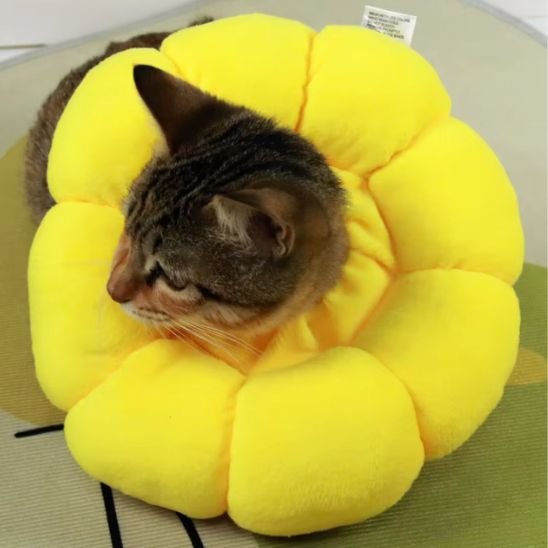 Collerette chat fleur jaune format boudin 