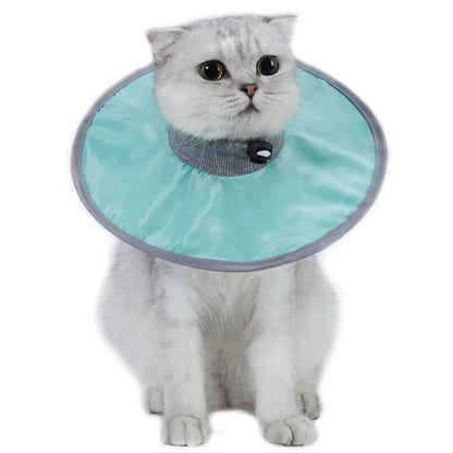 Collerette chat