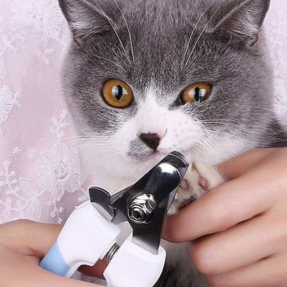 Coupe griffe Chat bleu coupe les griffes du chat blanc et gris 