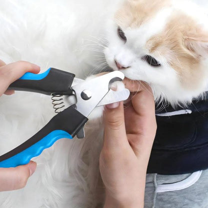 Coupe griffe Chat coupe les griffes du chat blanc