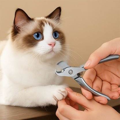 Coupe griffe Chat coupe les griffes du chat 