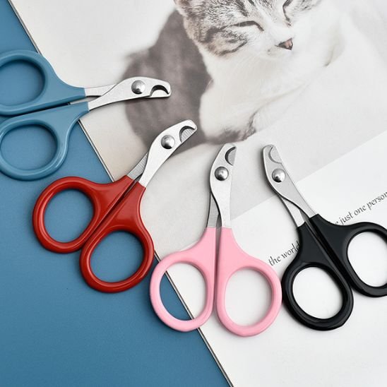 Coupe griffe Chat différentes couleurs 