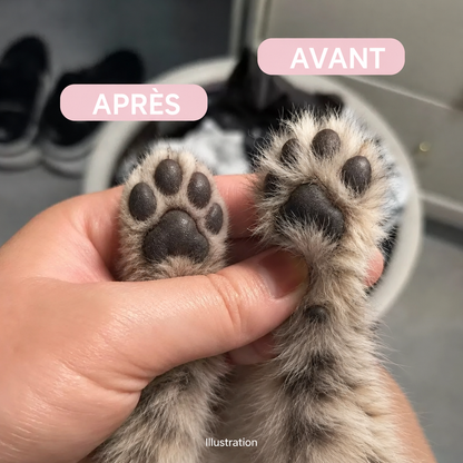 Illustration avant et après sur des pattes de chat