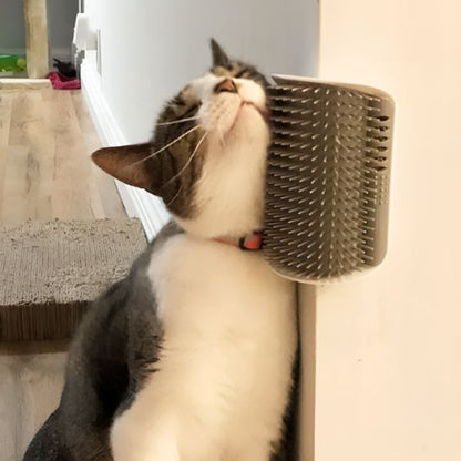  brosse pour chat chat gris et blanc avec un collier rouge frottant sa joue contre