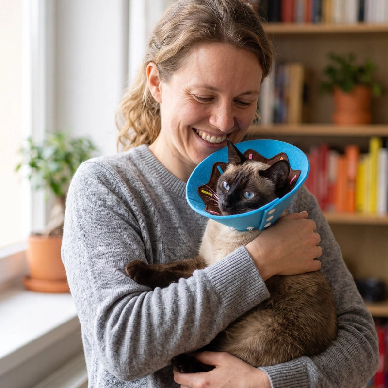 Collerette Chat | Confort Post-Opératoire