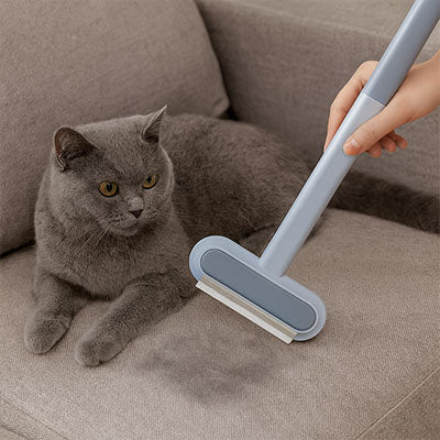 Brosse anti-poils utilisée sur un canapé beige à côté d’un chat gris