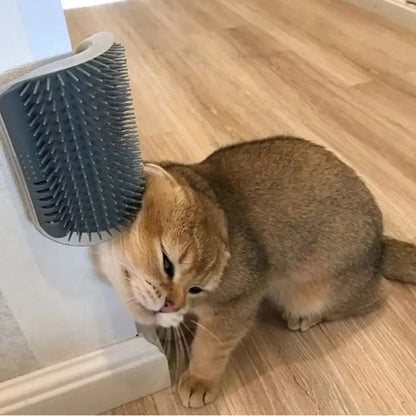 brosse pour chat Chat brun frottant sa tête contre elle installée à l’angle d’un mur.
