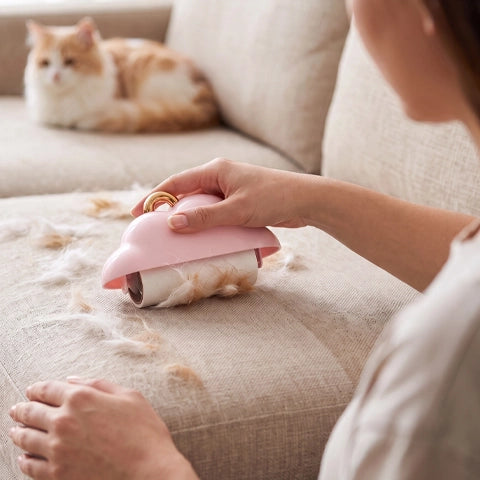 Brosse anti poil | Mini voyage