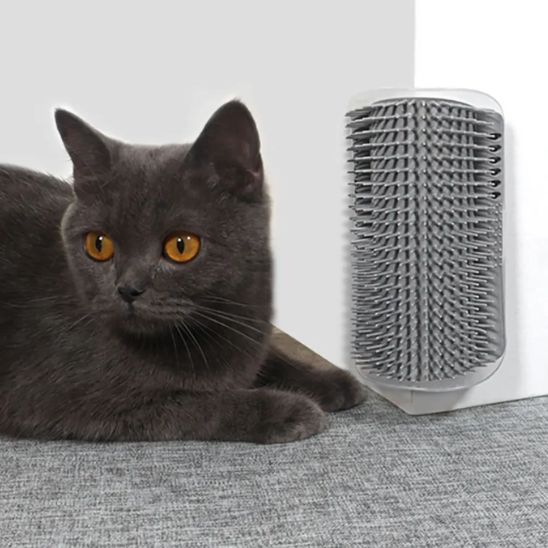 Brosse pour chat fixée à l’angle d’un mur, à côté d’un chat gris allongé.
