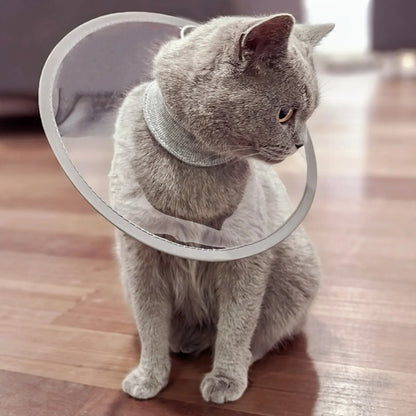 Collerette chat | Ultra-légère