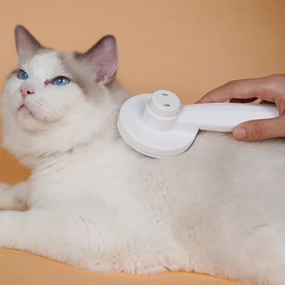 Brosse pour Chat blanche utilisée sur le dos d’un chat blanc à poils longs.