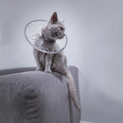 Collerette chat | Ultra-légère