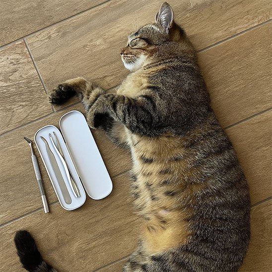 Pince à tique kit complet 