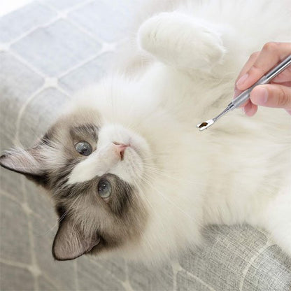 Pince à tique maître enlève les tiques sur le chat 
