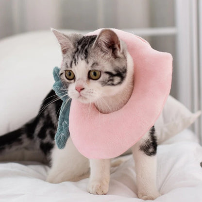 Collerette Chat | Protection Postopératoire Douce
