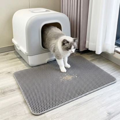 Tapis litière chat gris avec un chat ragdoll sortant de son bac dans un salon lumineux