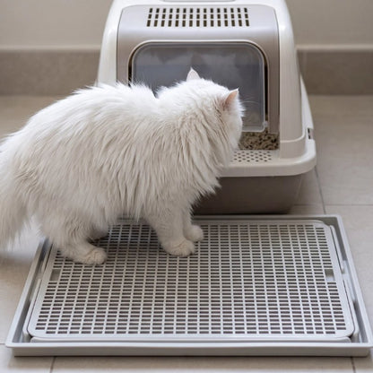 Tapis litière Chat récupère la litière devant le bac 