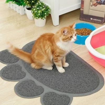 Tapis litière Chat roux sur le tapis 
